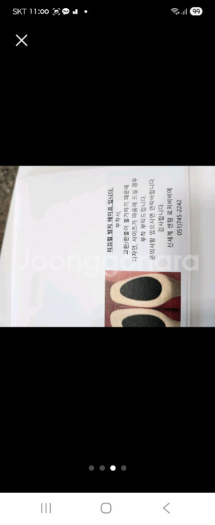 로저비비에--2