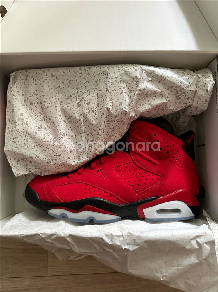 조던6토로브라보 275--0