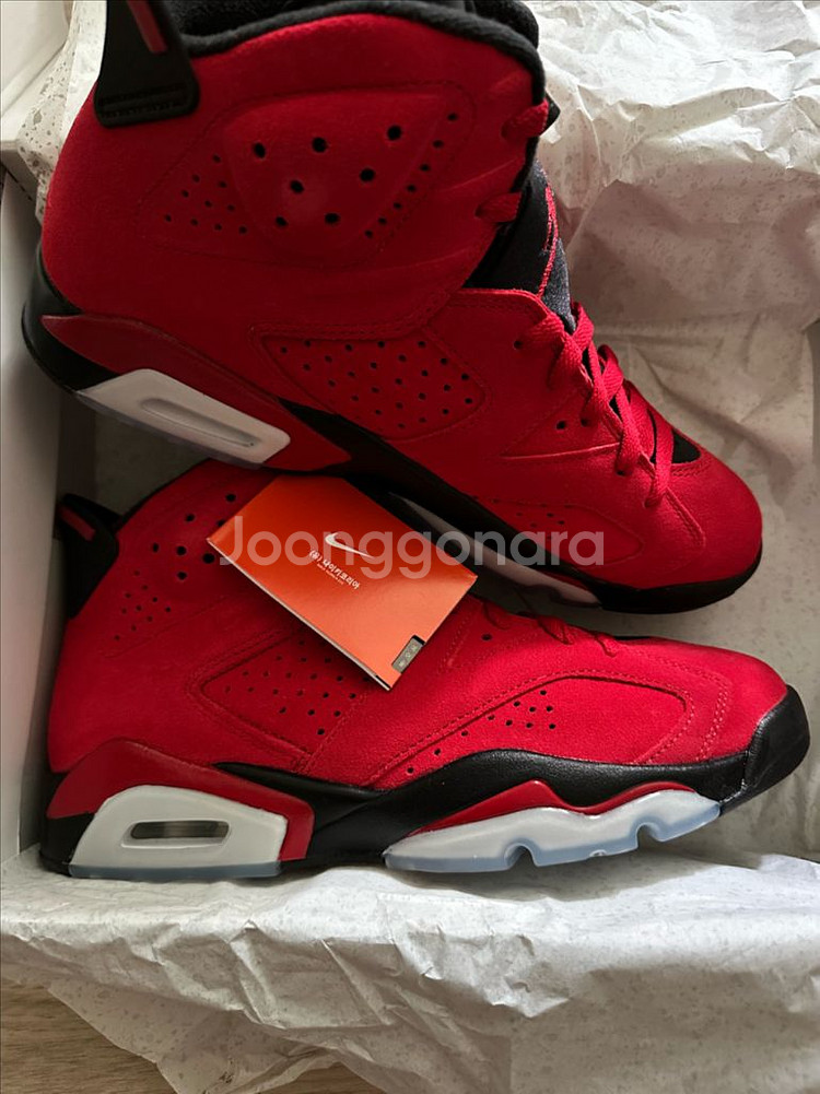 조던6토로브라보 275--1