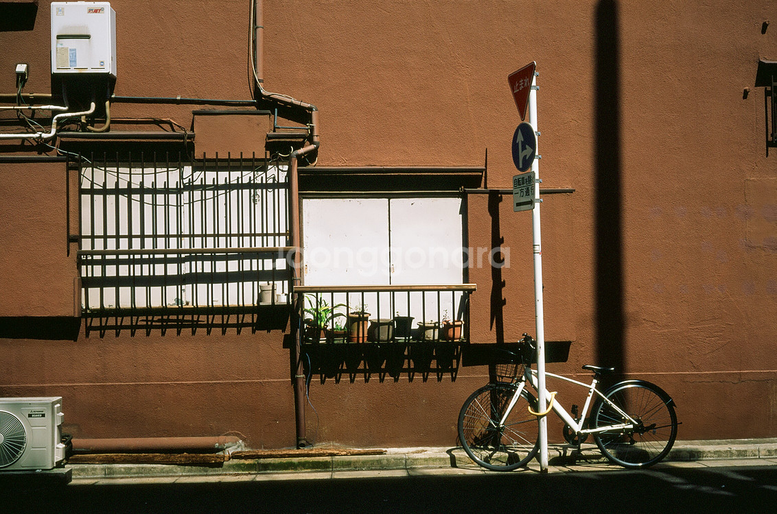Nikon Micro-Nikkor 5cm f3.5--2