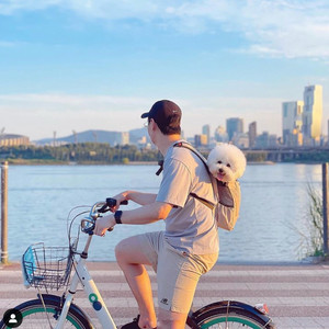[미사용 새상품] 견체공학 어부바 가방 라이트 2세대