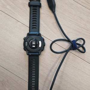 가민포러너 55