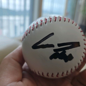 한화이글스 이진영 싸인볼 팜