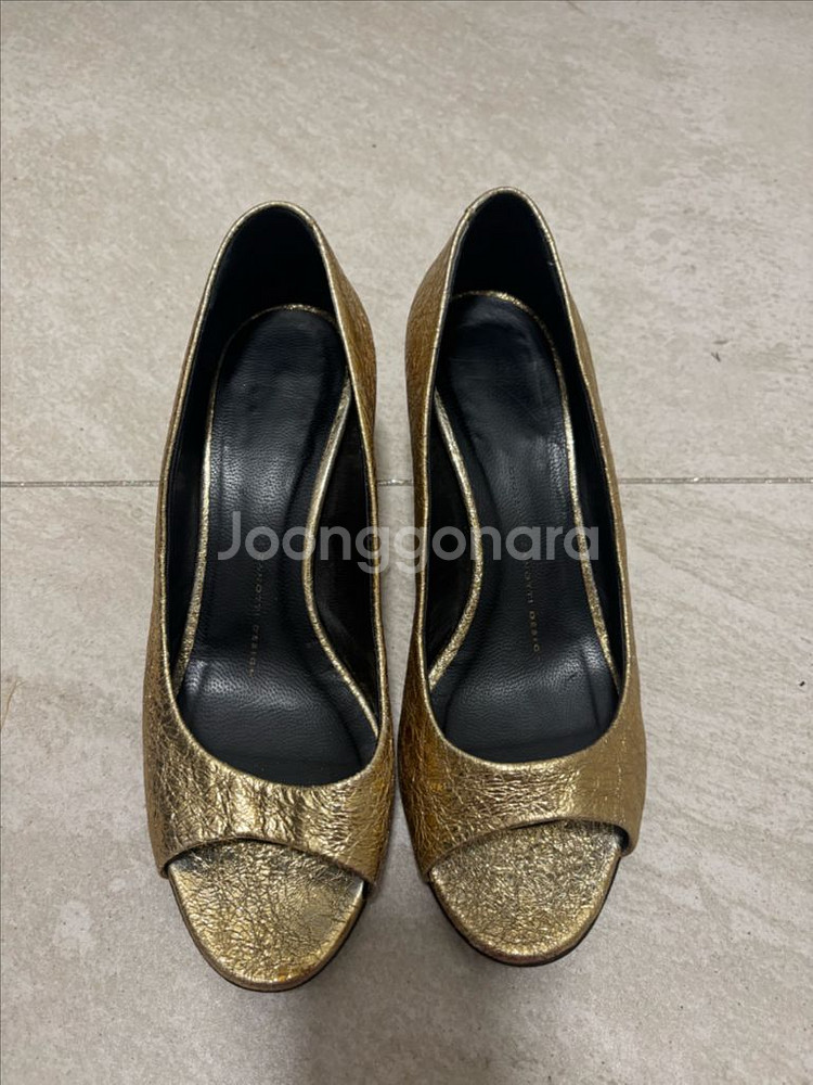 쥬세페자노티 37--0