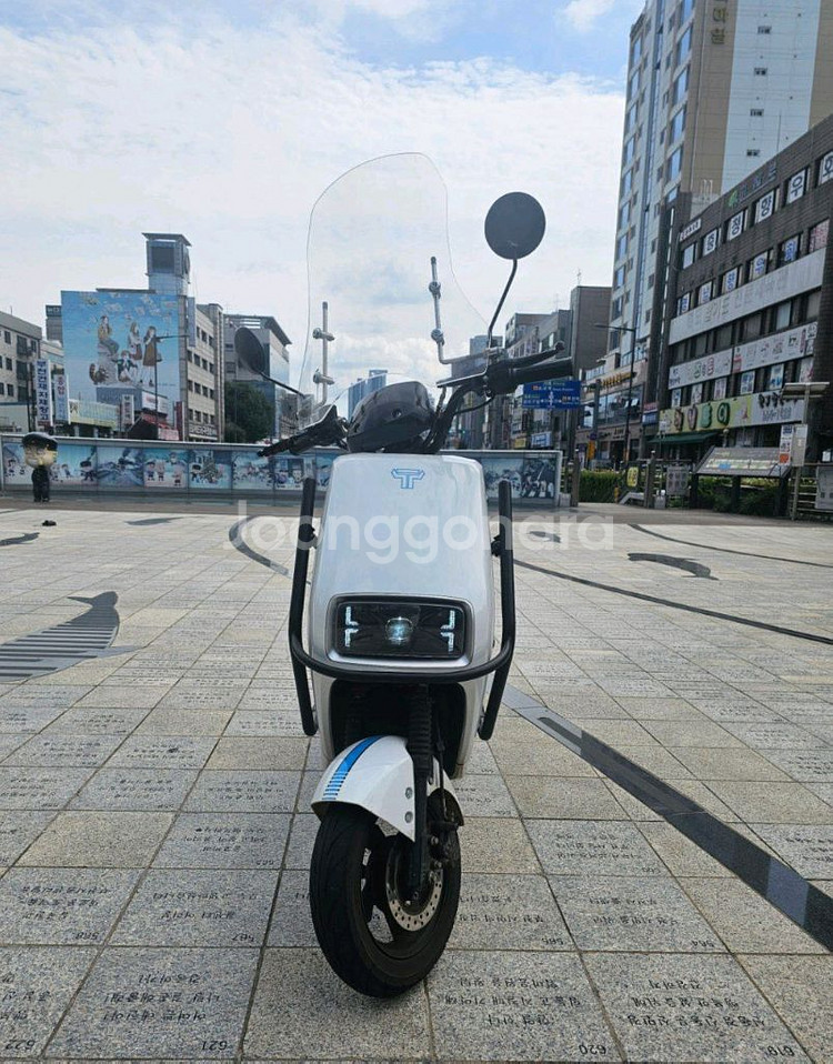 타우러스es 듀얼 전기스쿠터 배달통o--1