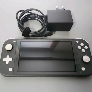 닌텐도 스위치 라이트 그레이