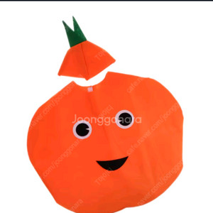 새상품 어린이 부직포 코스튬의상 12개일괄 이미지