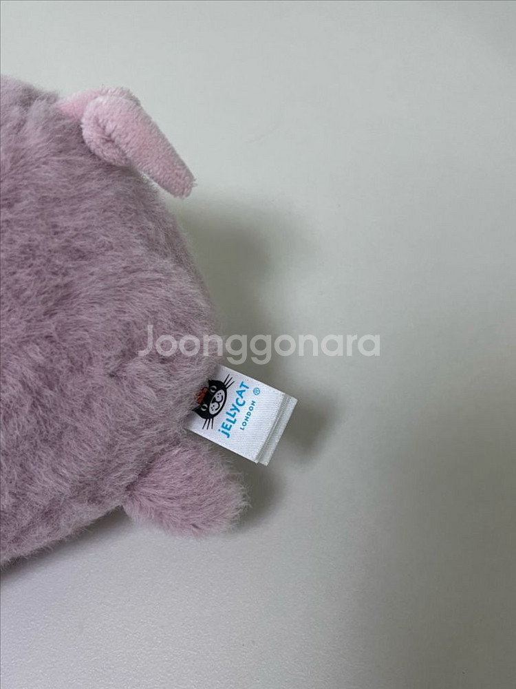 젤리캣 젤리켓 아기돼지인형--1
