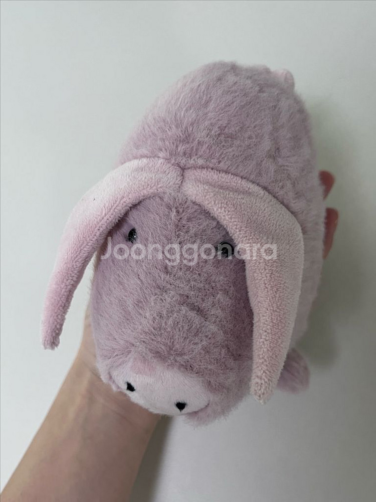 젤리캣 젤리켓 아기돼지인형--2