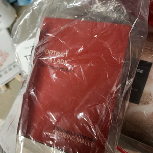 프레드릭말 포트레이트 오브어 레이디 포오레