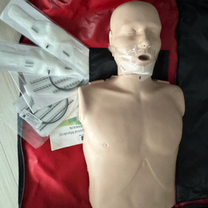 심폐소생술 프레스탄 성인 CPR 마네킹