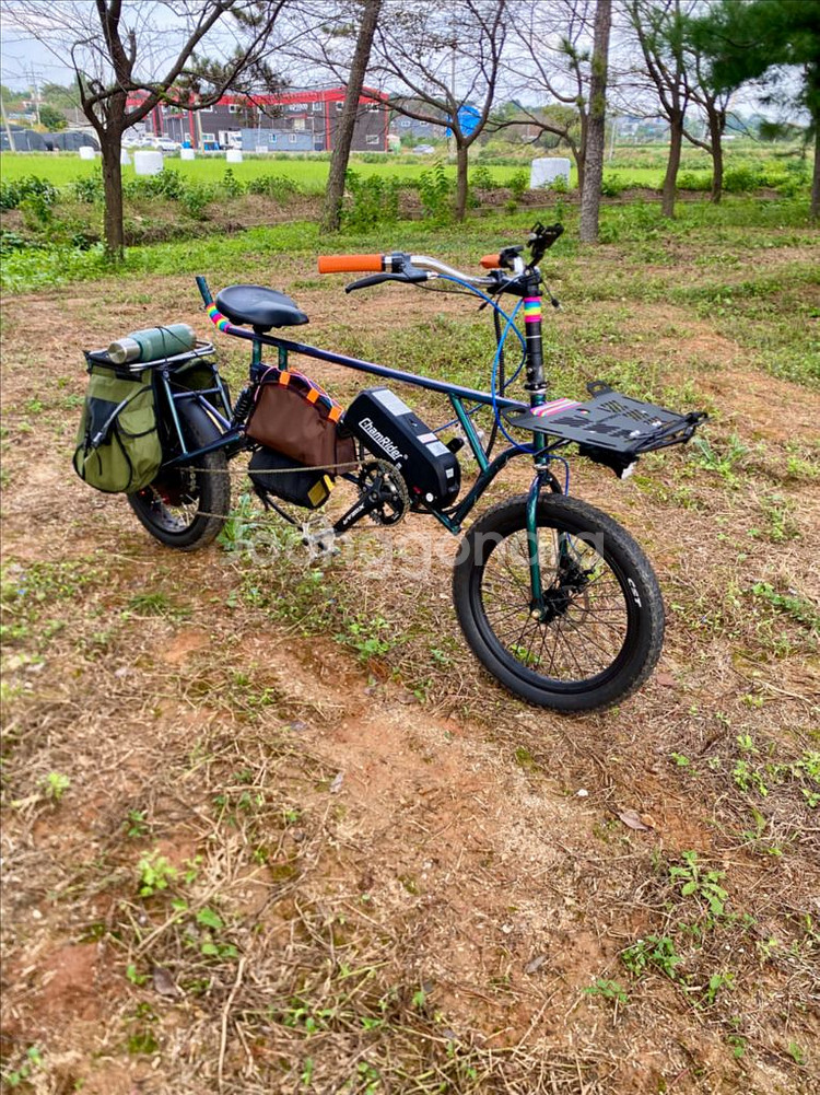 롱테일 타고전기자전거--2