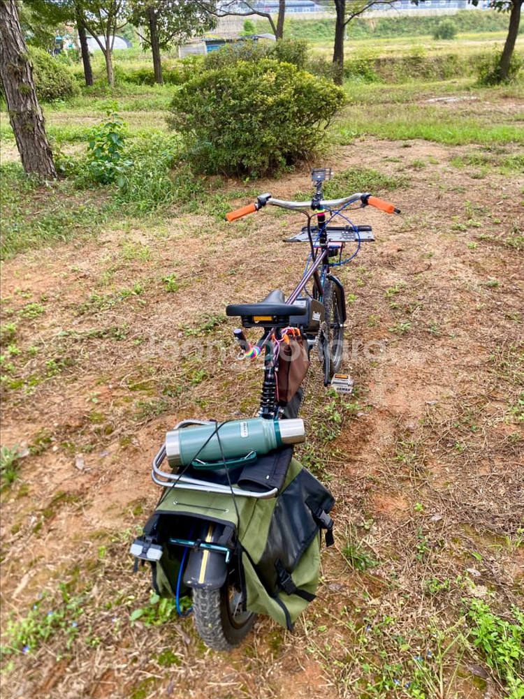 롱테일 타고전기자전거--1