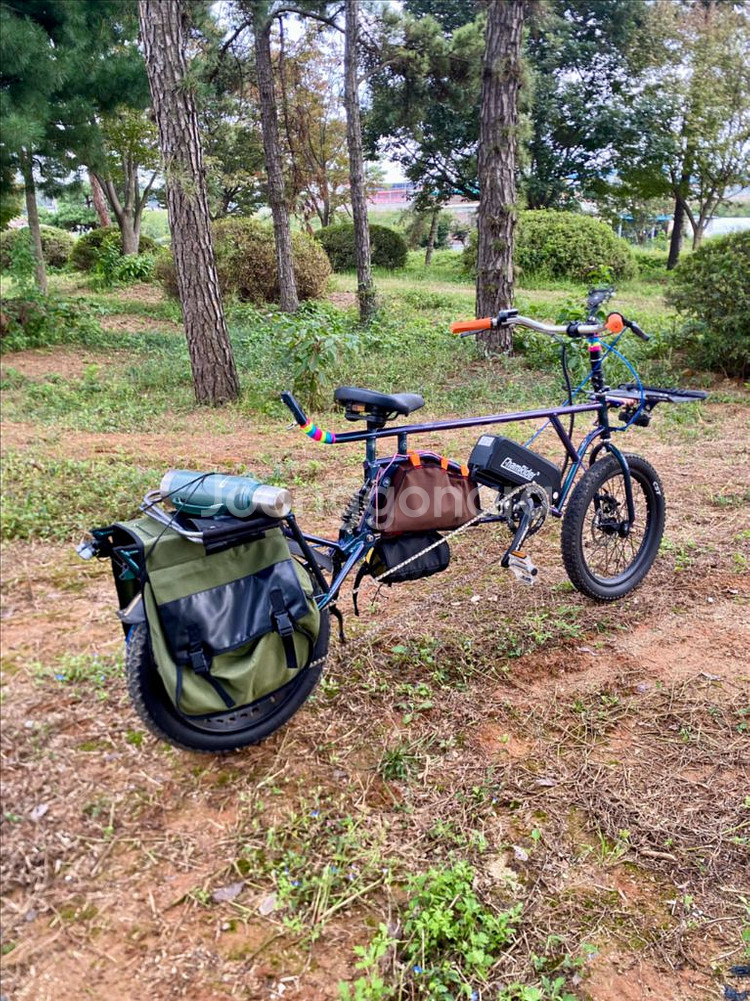 롱테일 타고전기자전거--0