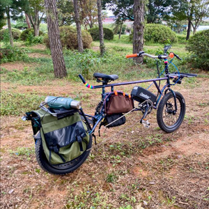 롱테일 타고전기자전거