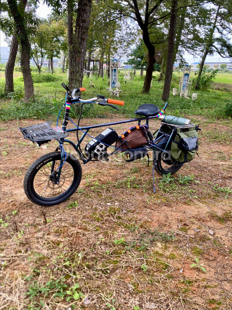 롱테일 타고전기자전거--4