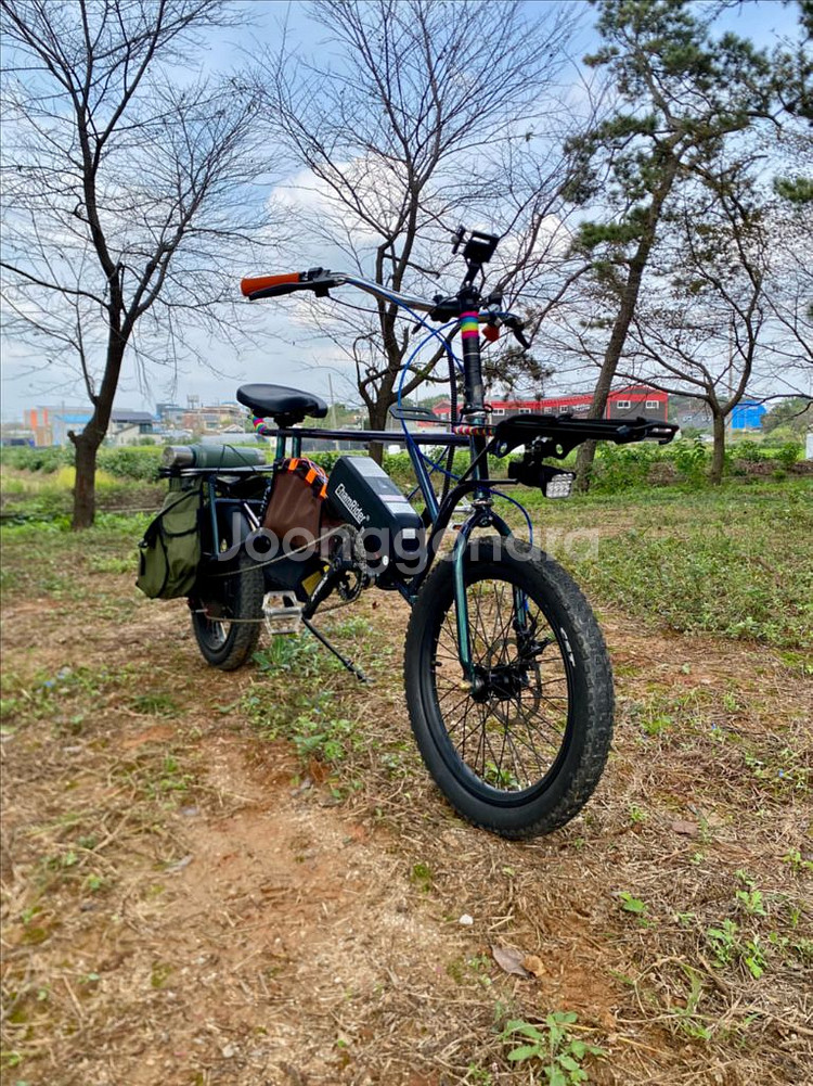 롱테일 타고전기자전거--6