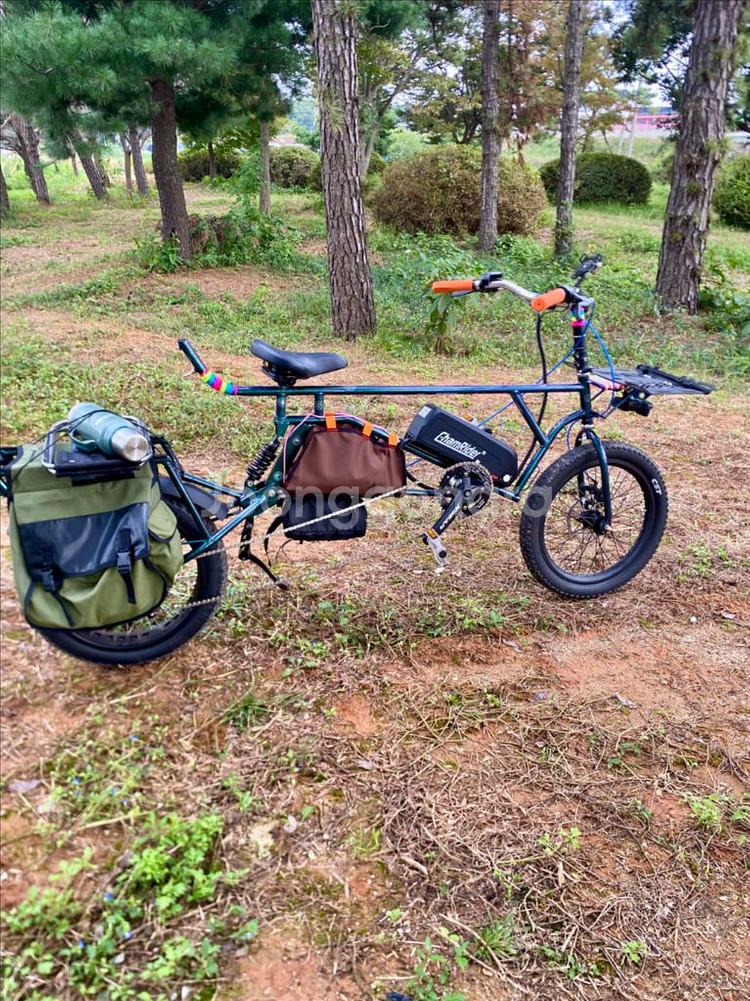 롱테일 타고전기자전거--3