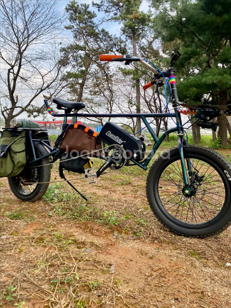 롱테일 타고전기자전거--5