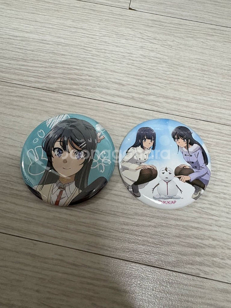 사쿠라지마 마이 캔뱃지 청춘돼지--0