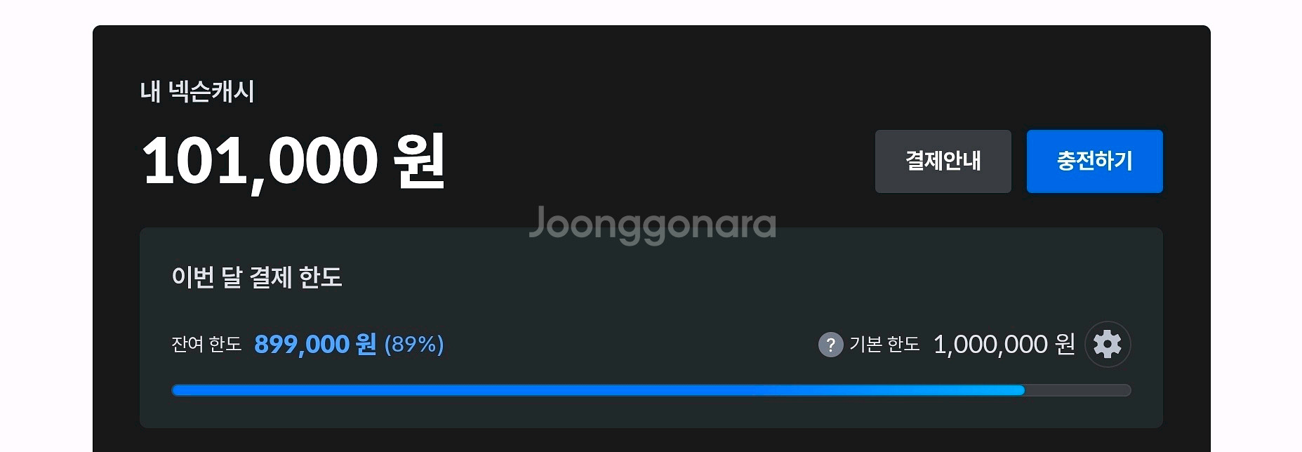 넥슨 캐시--0