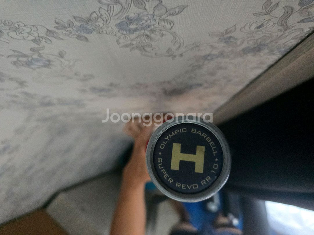 HATLEX 슈퍼 레보 RR 중량봉--3