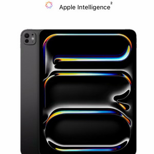 -아이패드 프로 M4 13인치(스페이스블랙)-wifi모