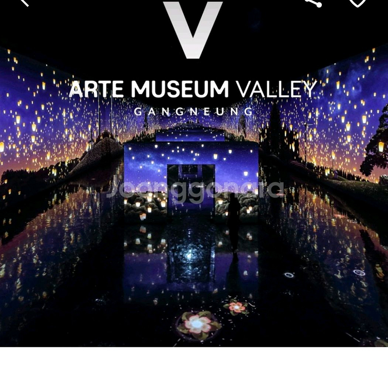 강릉 아르떼뮤지엄 입장권 + 밀크티 소인 4인--0