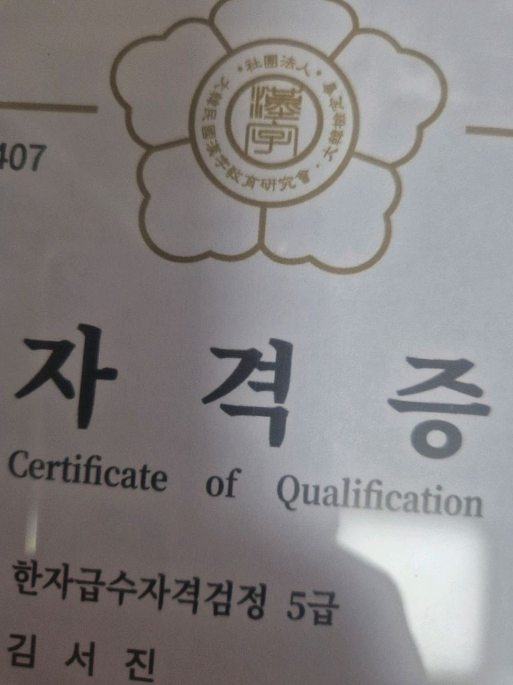 브레인나우 한자, 한글 dvd 이미지