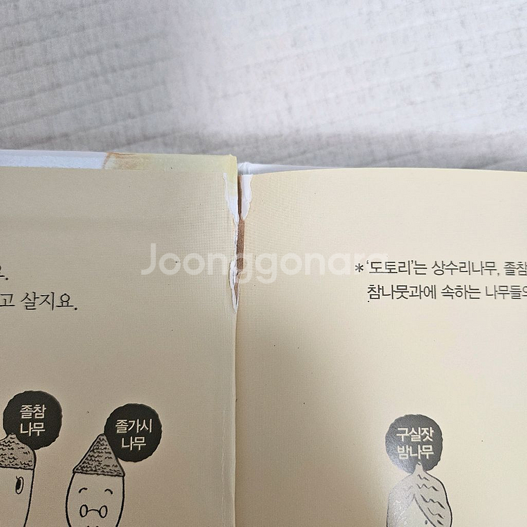 도토리마을,채소학교,누에콩,크레파스 나카야미와 작가전--4