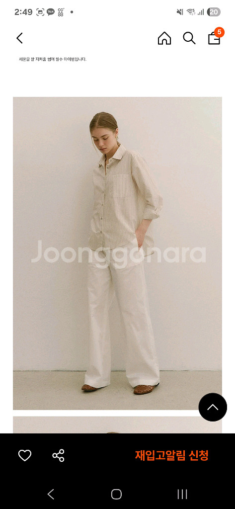 베뉴엣 달리아셔츠--0