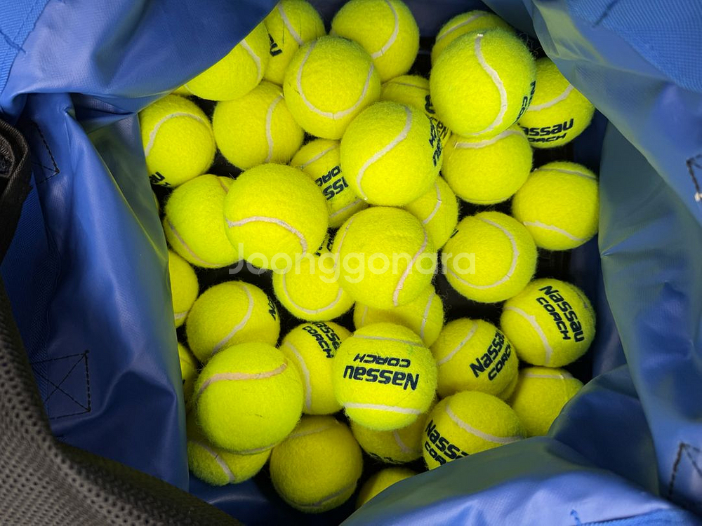 테니스 볼카트--4