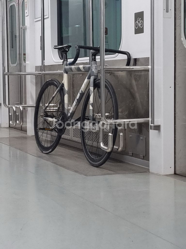 콘스탄틴 어베인2023--0