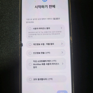 플립4 골드 256 kt