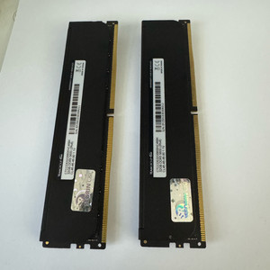 팀그룹 T-CREATE DDR5-5600 64GB