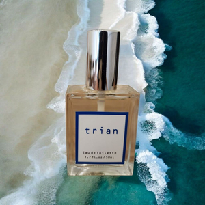 돌체앤가바나 라이트 블루 향을 그대로!