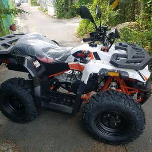 카요 사륜바이크 불180