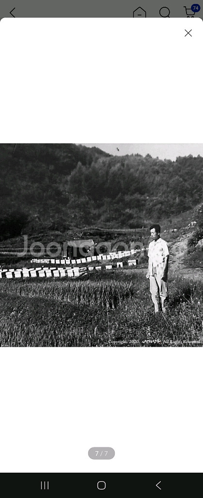 진해양봉 자연벌꿀 아카시아1.2KG--0