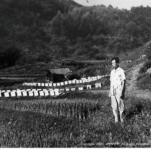 진해양봉 자연벌꿀 아카시아1.2KG