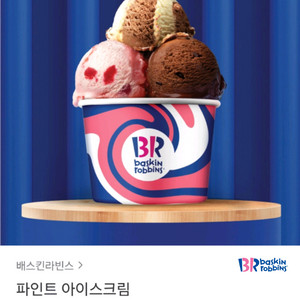 배스킨라빈스/베스킨라빈스 파인트, 하프갤론/하프갤런 등