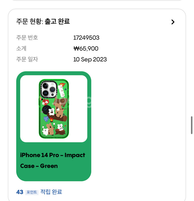 케이스티파이 아이폰14 Pro 임팩트 그린 케이스 미사--2