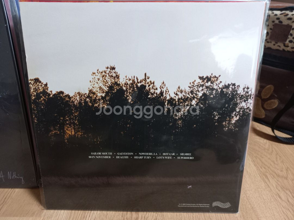 why bonnie lp--1