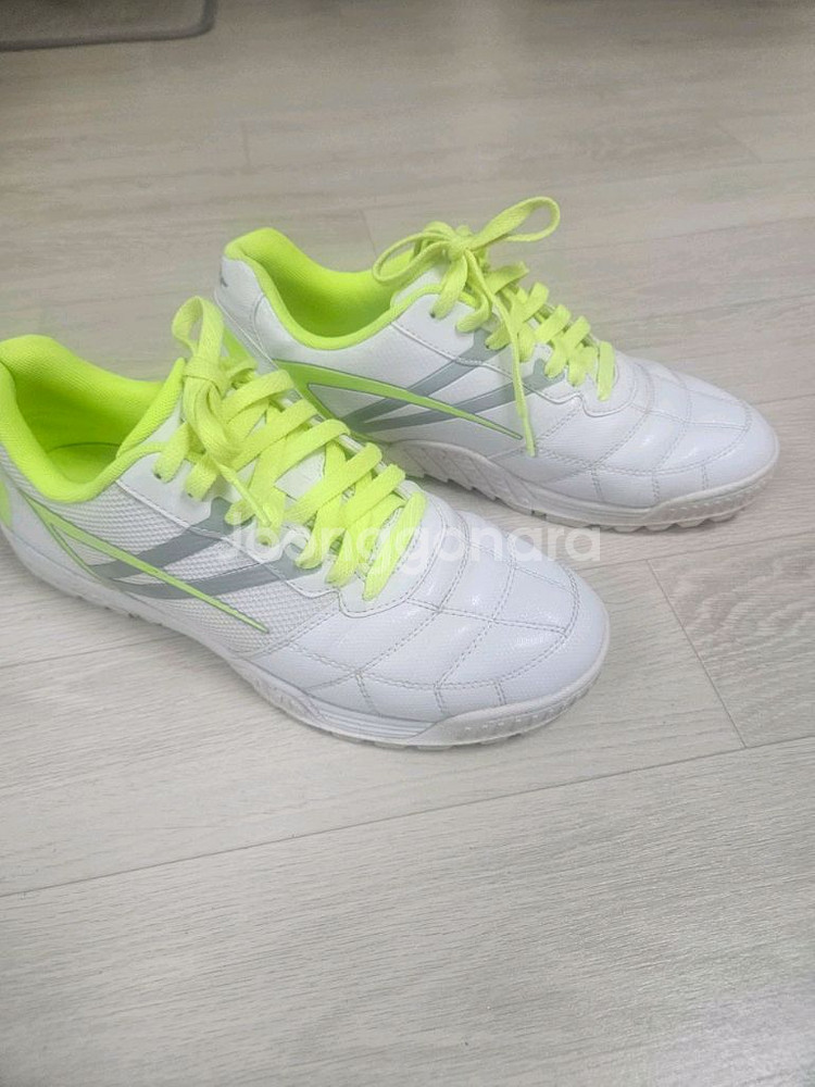 스타 토네이도 족구화신상-270--0