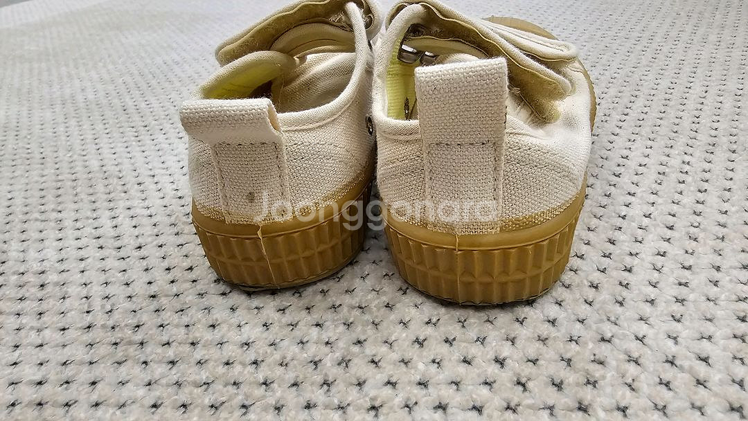 노베스타 24--1