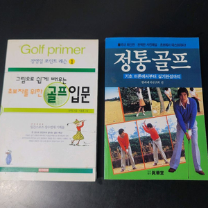 골프입문/정통골프 서적 2권 세트 일괄