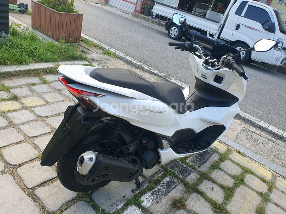 21년 pcx 125ABS 중고오토바이스쿠터엔맥스벤리--6
