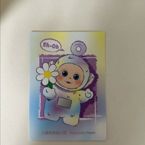 보라돌이 꽃 개인결제창