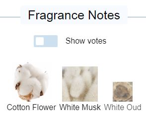 자르코퍼퓸 더 뮤즈 오드퍼퓸 EDP 100ml 향수--3