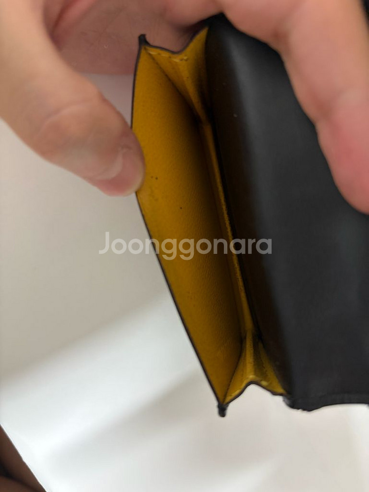 고야드 말제르브 명함지갑--6