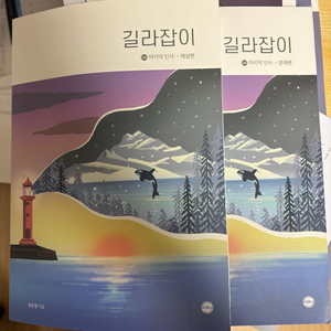 시대인재 국어 강은양t 파이널 커리큘럼 마지막인사 교재